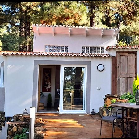 Casa Aguar: Acogedora Casa De Invitados En El Bosque Barrial Buitenkant foto