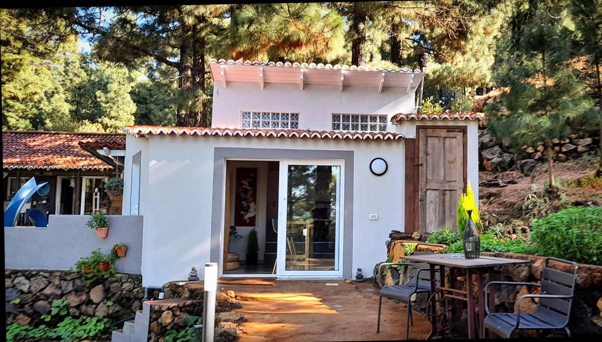 Casa Aguar: Acogedora Casa De Invitados En El Bosque Barrial Buitenkant foto
